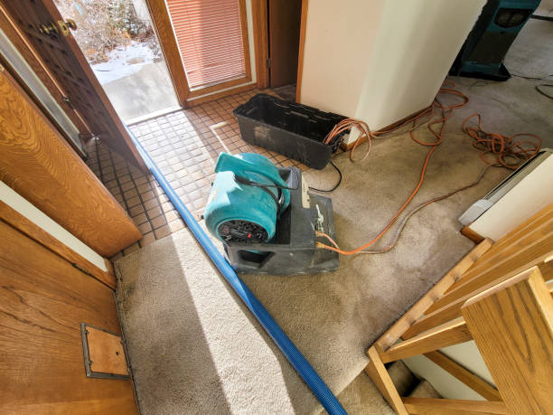Reliable HI Water damage restoration Solutions