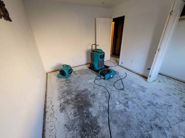 Best Flood restoration services  in Waipio Acres, HI