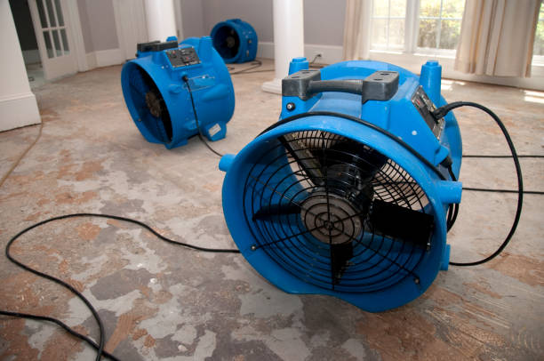 Best Mold removal after water damage  in Waipio Acres, HI