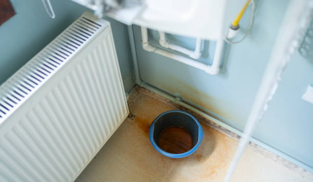 Best Professional water damage repair  in Waipio Acres, HI