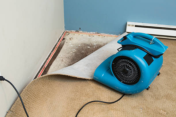 Best Flood restoration services  in Waipio Acres, HI
